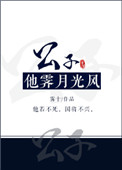 公子他霁月光风好看吗